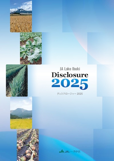 ディスクロージャー2025